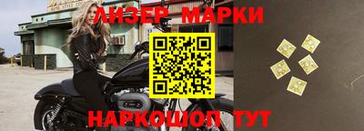 сатива Ставрополь