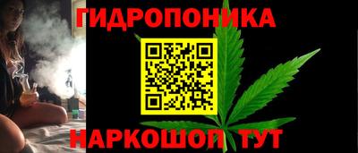 сатива Ставрополь