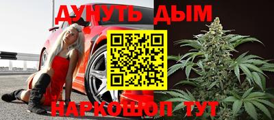 сатива Ставрополь