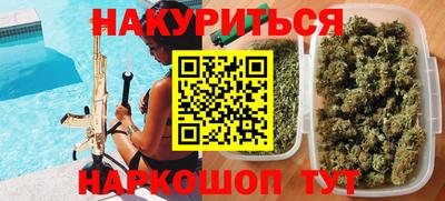 сатива Ставрополь