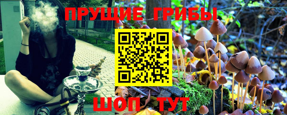 Павлово  Псилоцибиновые грибы ЛСД  Вход с VPN 